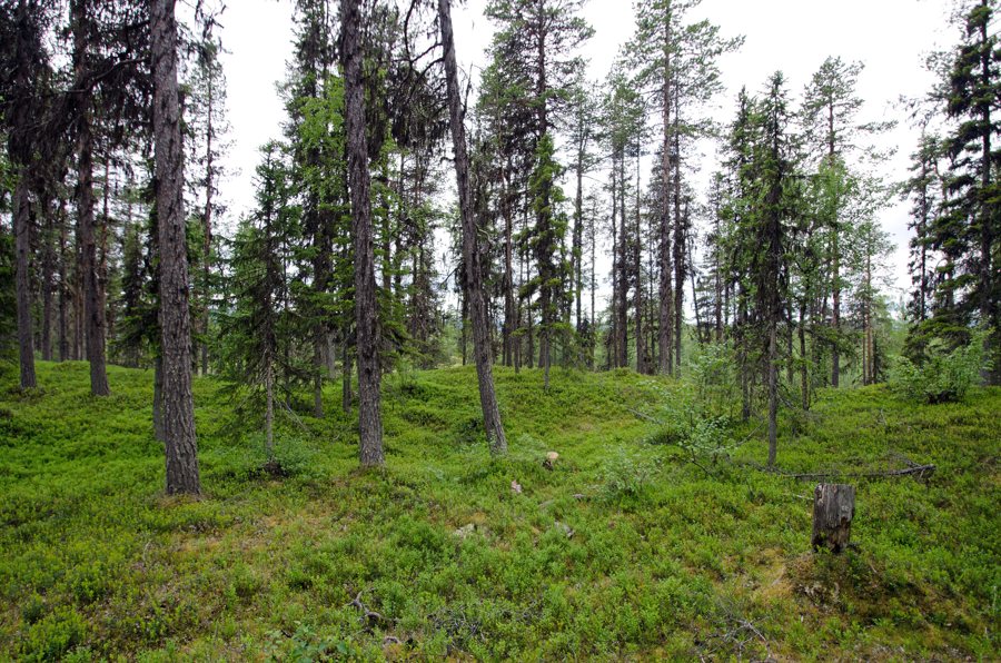 File:Porjus Sweden - panoramio (1).jpg