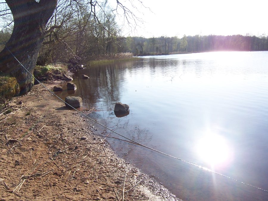 File:Lake near Åsljunga.JPG