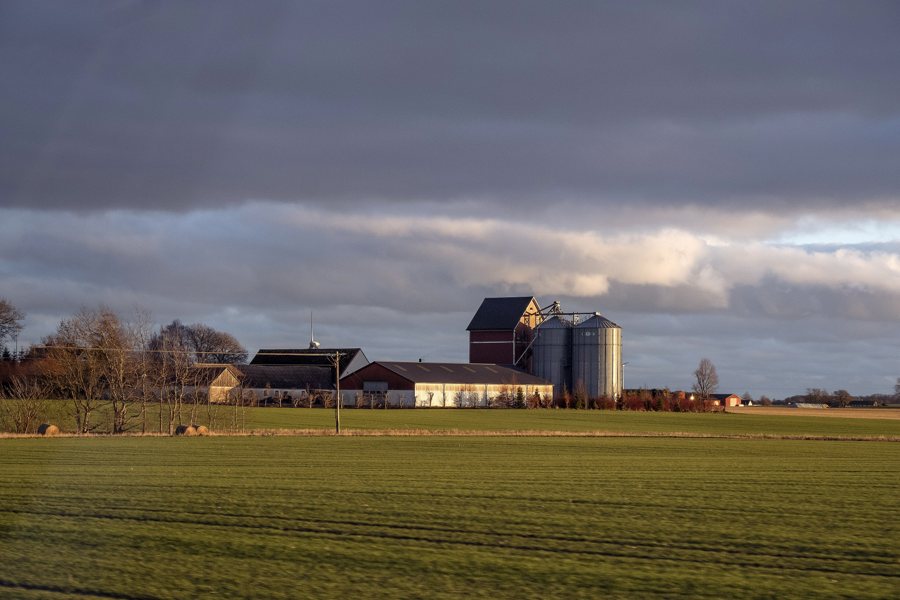 File:20191227 lantbruk Hammenhog Osterlen 0047 (49291716432).jpg
