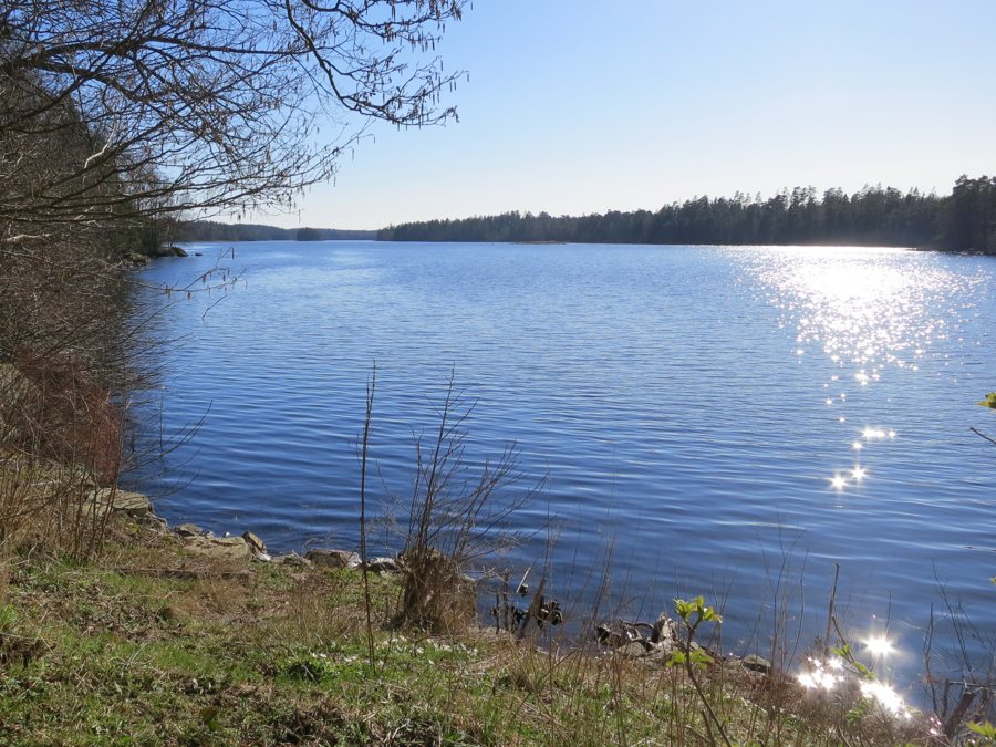 File:Immeln vid Snappetorp.jpg