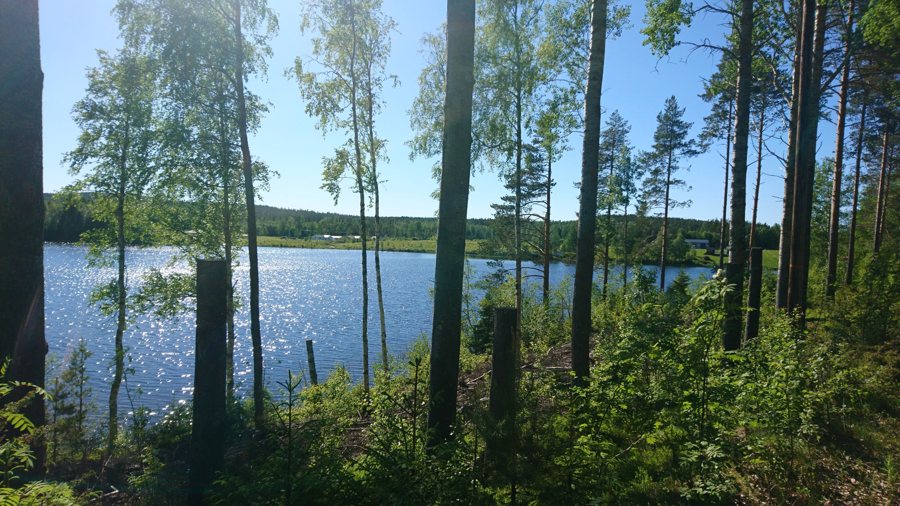 File:Haddingsavan (Tavelsjö).jpg