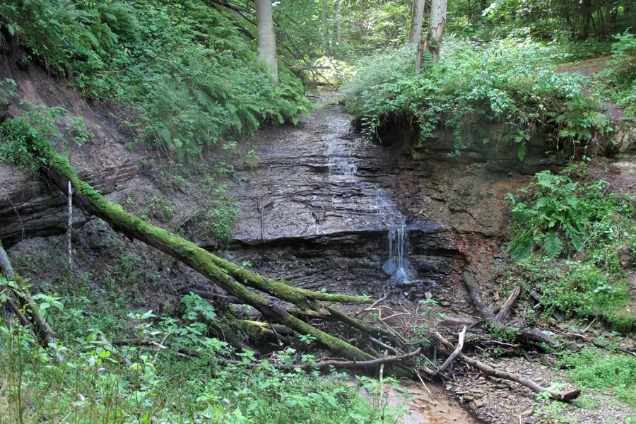 File:Türisalu waterfall, Aug 2010.jpg