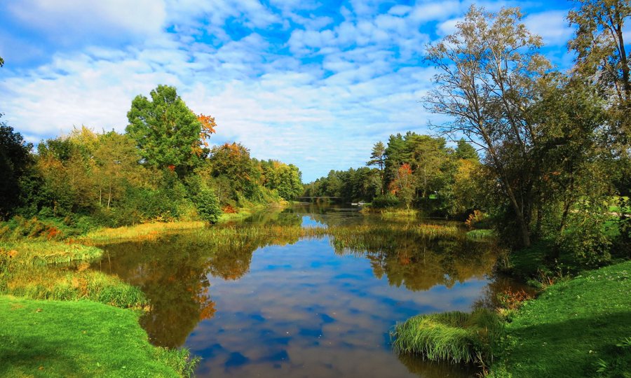 File:Autumn at Voka resrvoir.jpg