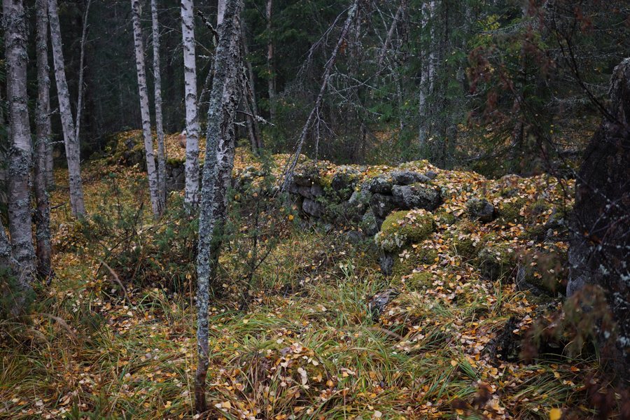 File:Fäbodvall i Starrmyrbodarna, Borgsjö socken, Ånge kommun 001.jpg