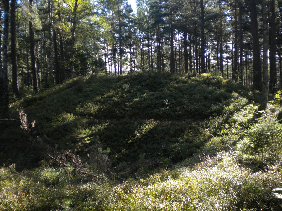 File:Gravfält Ingarö.JPG