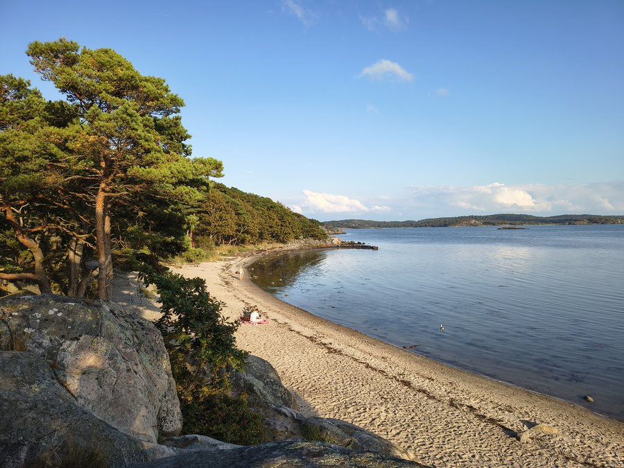 File:Kungsbacka kommun - Särö västerskog - 2026-05-02 23-51-34 001.jpg