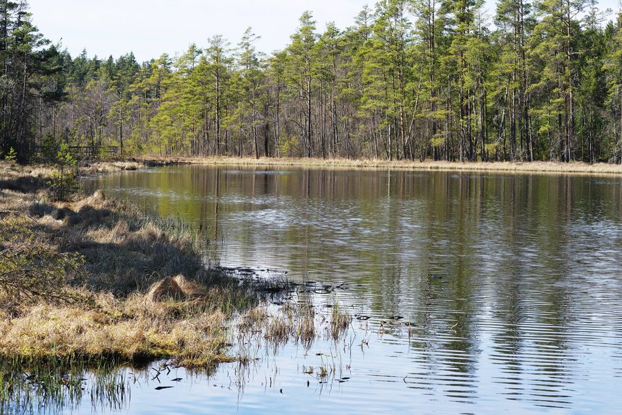 File:Grästorpasjön Herrljunga kommun 2441.jpg