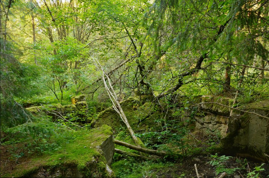 File:Ruiny bunkra niemieckiego, Łężyce - panoramio.jpg
