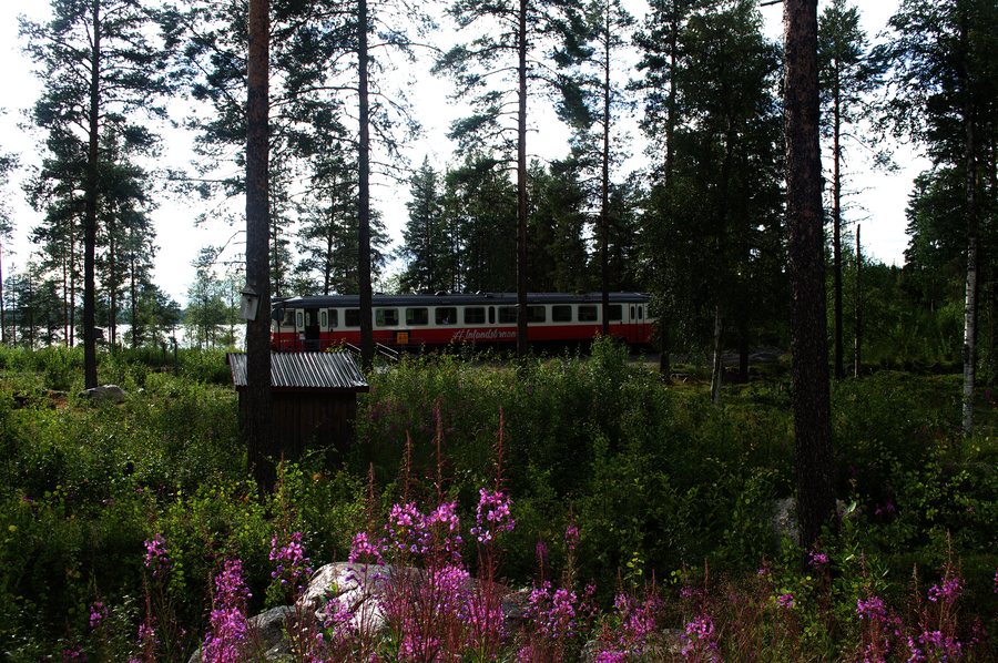 File:20.07.23 Vilhelmina Norra Y1 1348 (53066352663).jpg