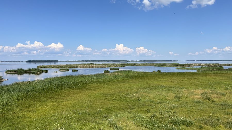 File:Mjölby kommun - Tåkern.jpeg