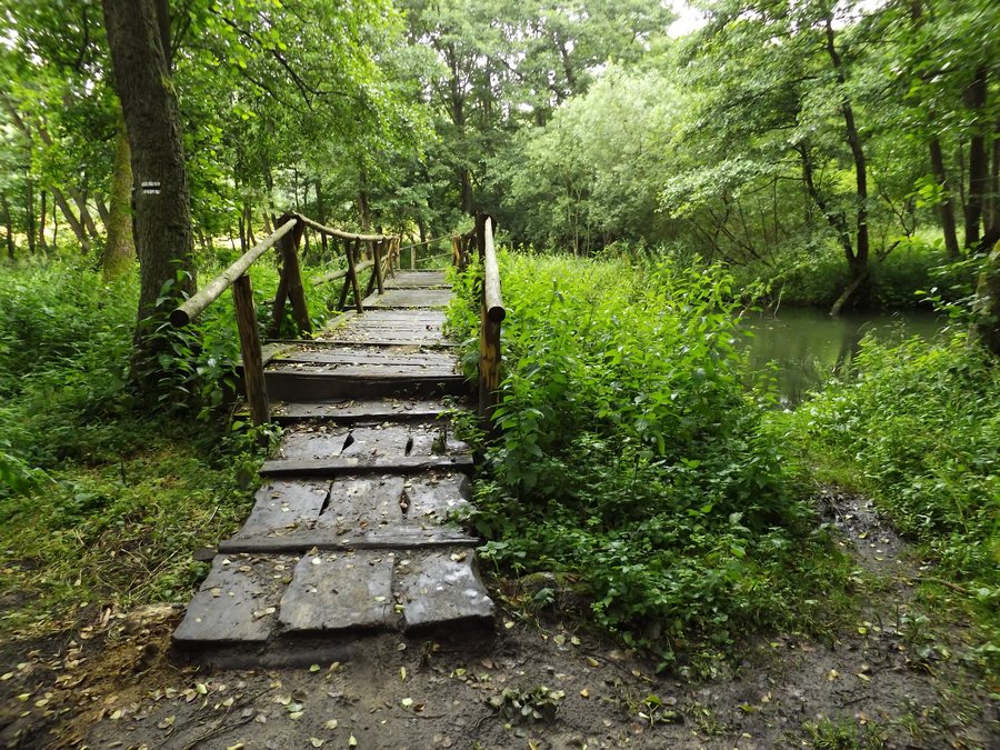 File:Drewniany most nad rzeką Radunią koło wsi Widlino - panoramio.jpg