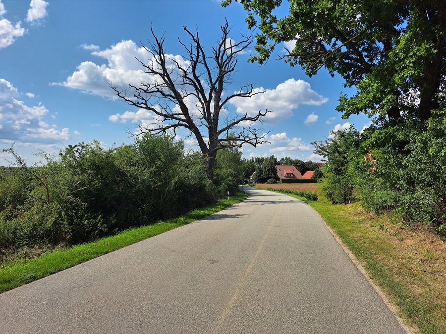 File:20250719.Grabowhöfe.-011.jpg