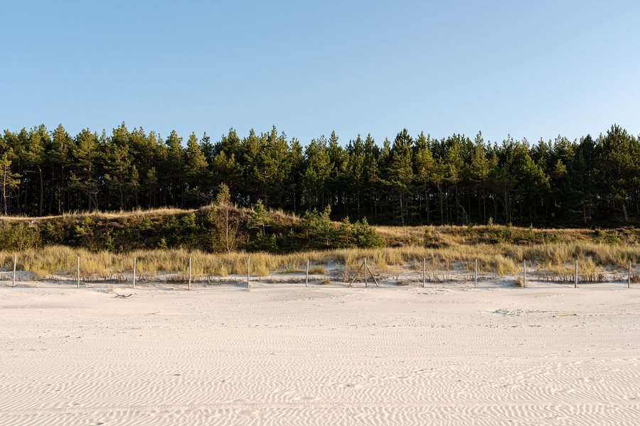 File:DSC08927-2 Beach, Forest, and Sky at Plaża Białogóra, Poland, 2025-09.jpg