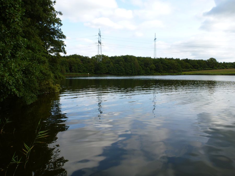 File:Dörpsee Schülldorf 1.JPG