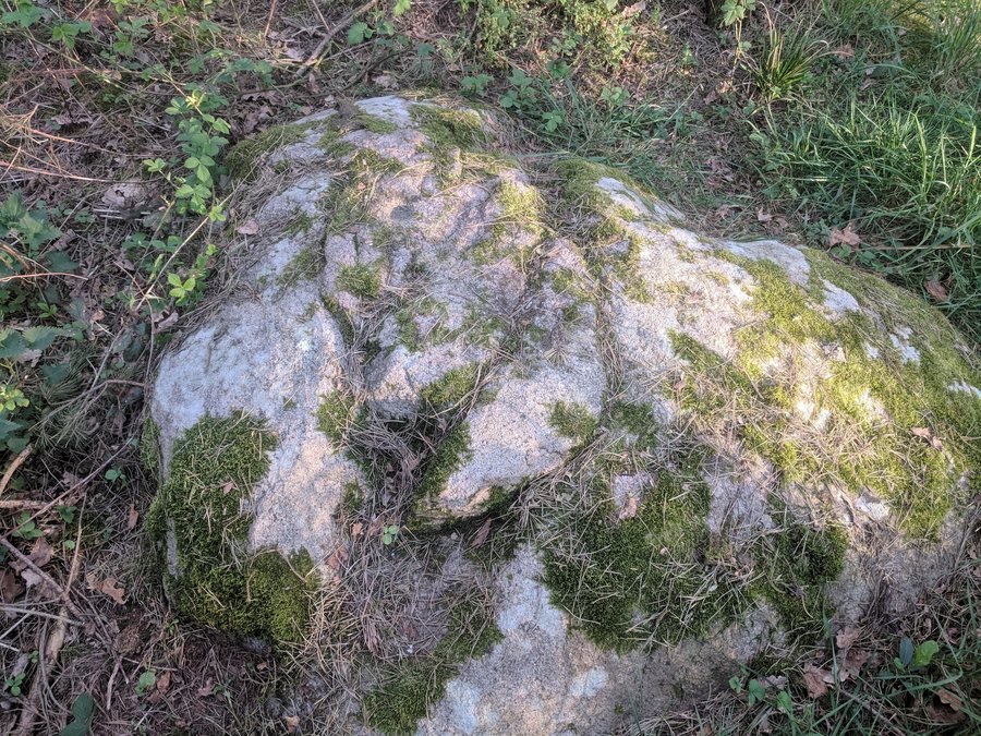 File:Schälchenstein bei Löcknitz - 2020-04-26.jpg