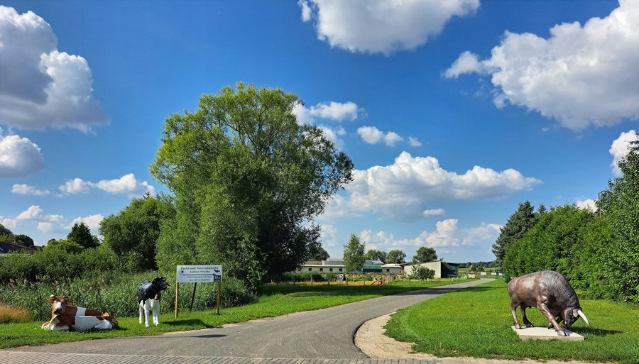 File:20250719.Vielist.-012.jpg
