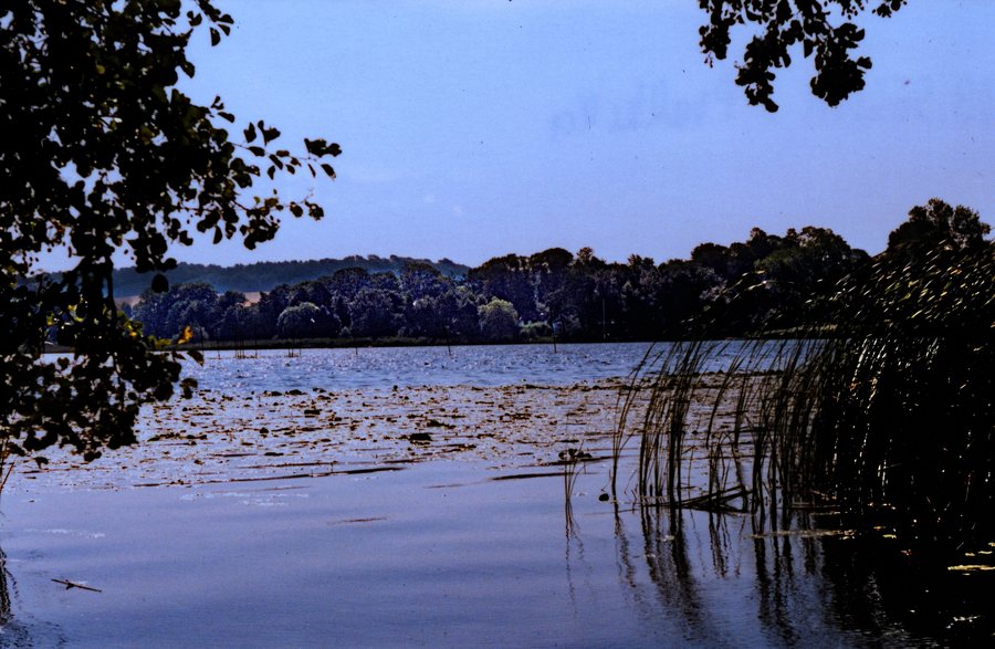File:Am Westensee 1996 (04) Badestelle Hohenhude (50803109486).jpg