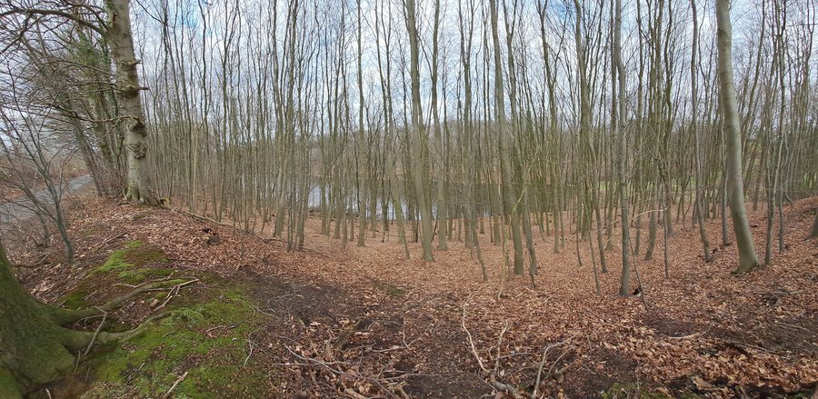 File:FFH-Gebiet Kolksee bei Schellhorn-6.jpg