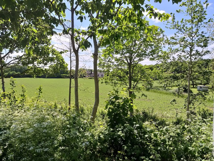 File:Altenholz, Dänischenhagener Straße 01.jpg