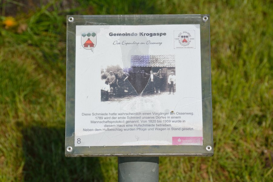 File:Krogaspe, alter Baum NIK 4990.JPG