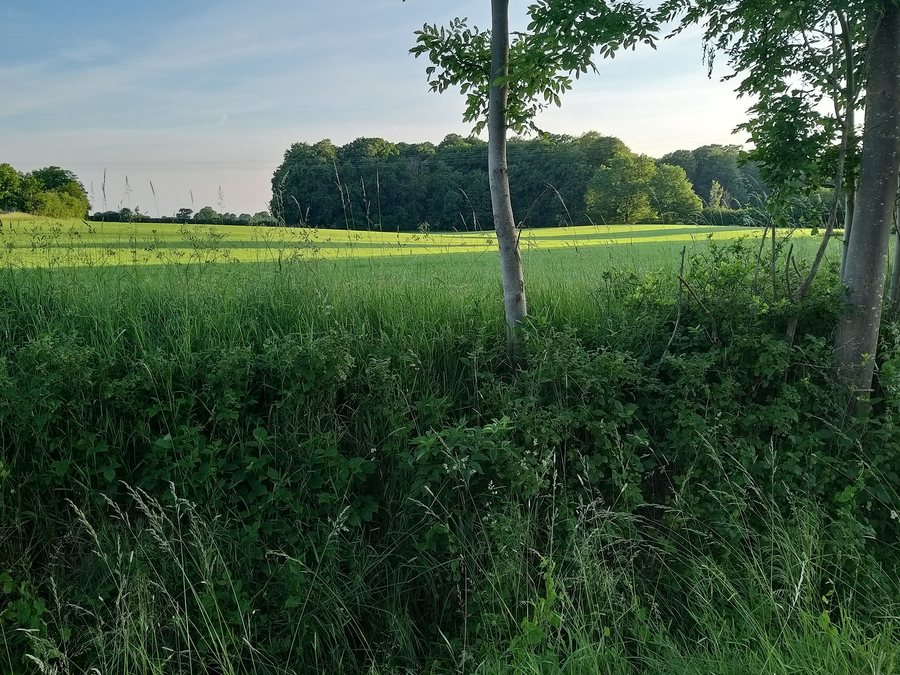 File:K23, 24625 Großharrie 03.jpg