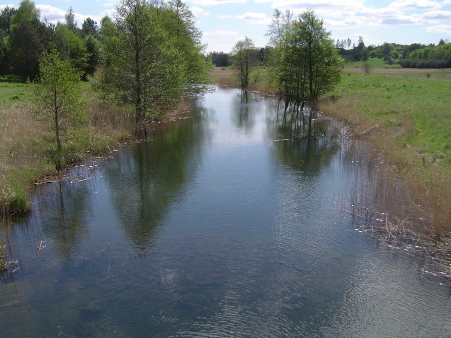 File:Pilawa kolo Liszek A42.jpg