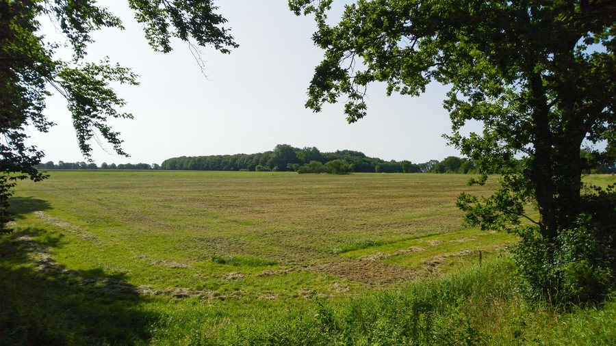 File:TG Westerholz (1 von 6).jpg
