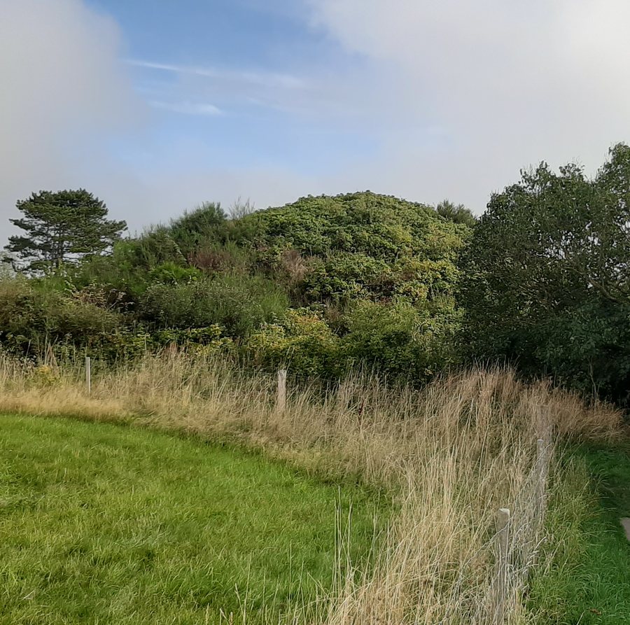 File:Maglehøj (Odsherred).jpg