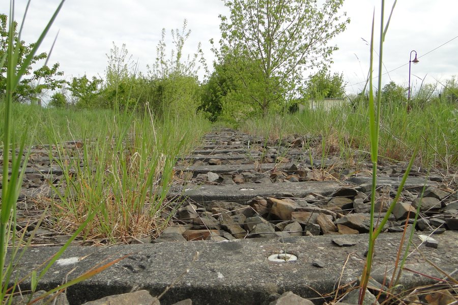 File:Warin Bahnstrecke Wismar-Karow 2014-05-04 4.JPG