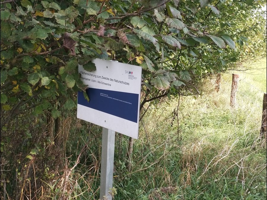 File:Flächensicherung zum Zwecke des Naturschutzes; Projektgebiet Löptin, Alte Schwentine.jpg
