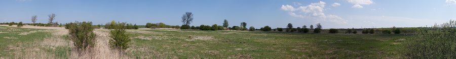 File:Mecklenburg-Vorpommern, Talmoorkomplex des Kleinen Landgrabens bei Werder, FFH-Gebiet 2246-301 1.jpg