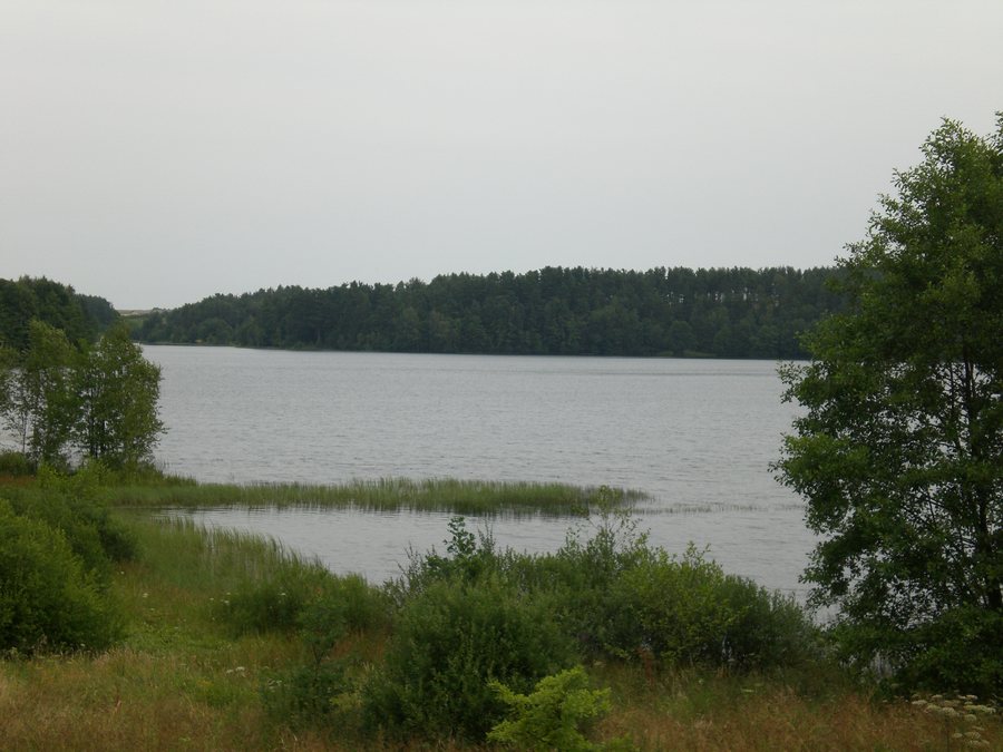 File:Jezioro Długie (Łyśniewo Sierakowickie).jpg