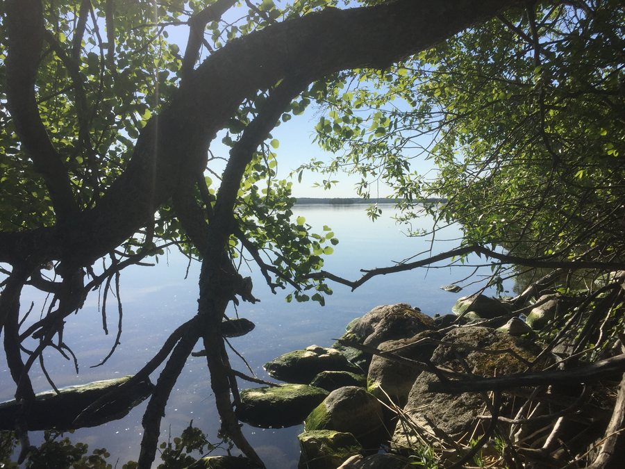 File:Håbo - Kalmarnäslandet.jpg