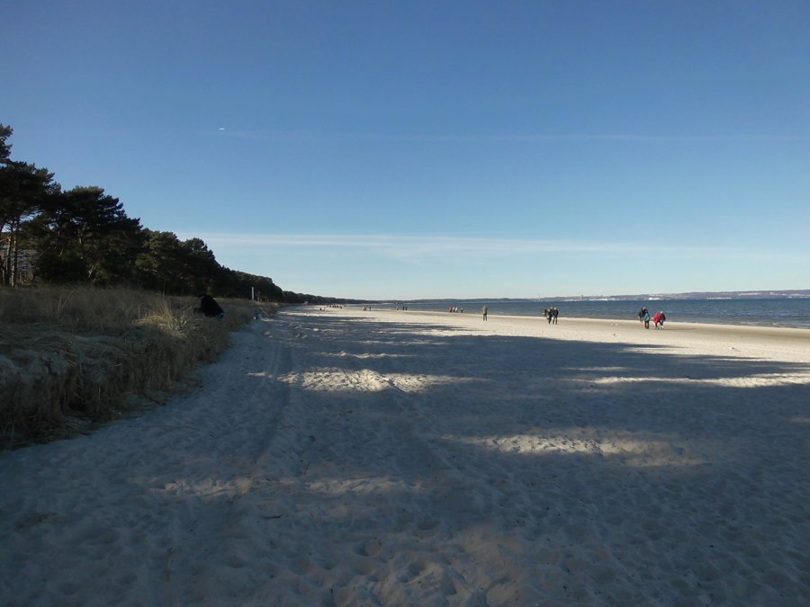 Sandy beach on the Baltic coast of Western Pomerania, with pine trees and sea