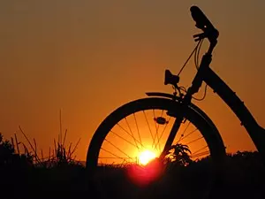 Cycling is an essential part of an active holiday on the Baltic Sea