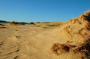 Shifting sand dune on the Curonian Spit in Lithuania, which is a UNESCO World Heritage Site