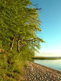 By the Achterwasser near Pudagla (Photo: nordlicht verlag)