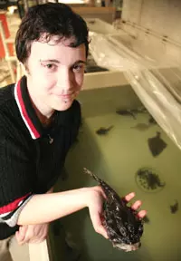 OZEANEUM staff member Bianca Komitsch with a monkfish (Photo: Christian Rödel)