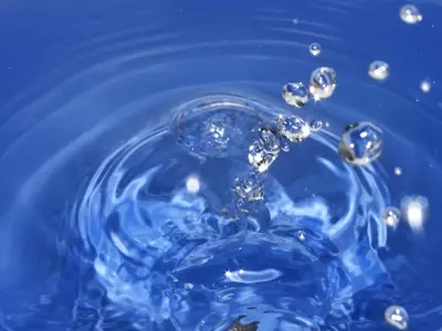 Healing Springs & Peat Baths