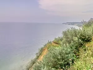 The Amber Coast