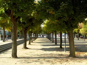Avenue in Ahlbeck (Photo: Rainer Höll)