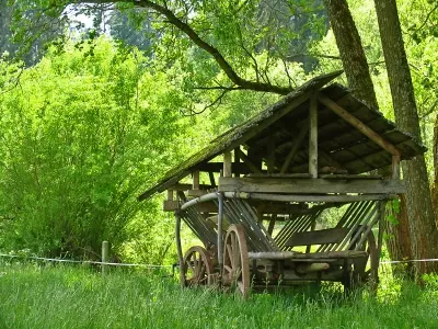 Farm Holidays