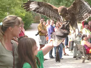 Marlow Bird Park/Mecklenburg (Photo: Bird Park)