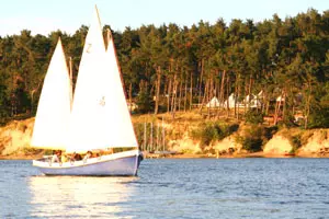 Cutter sailing in the evening Cutter sailing in the evening